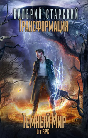 Тёмный Мир / Валерий Старский (2)