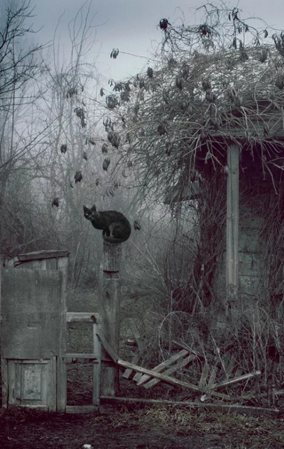 Вечное зло / Alex Franz