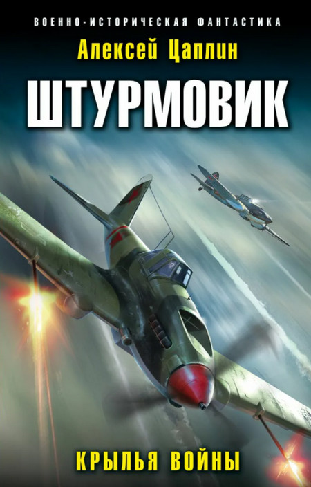 Штурмовик. Крылья войны / Алексей Цаплин (книга 1)