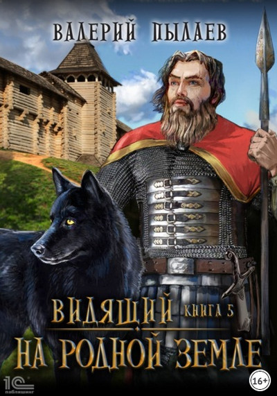 Видящий. На родной земле / Валерий Пылаев (книга 5)