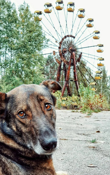 Гек или история мохнатого сталкера / Вячеслав Хватов