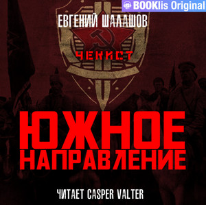 Чекист. Южное направление / Евгений Шалашов (7)