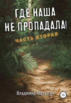 Где наша не пропадала!-2 / Владимир Малыгин (2)