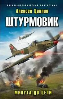 Штурмовик. Минута до цели / Алексей Цаплин (2)