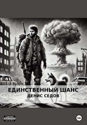 Единственный шанс / Денис Седов